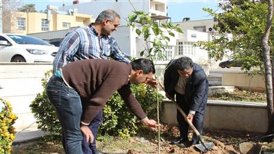 کاشت نهال توسط مدیر کل استاندارد فارس به مناسبت روز درخت کاری